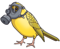 Mine Gas Online Exams